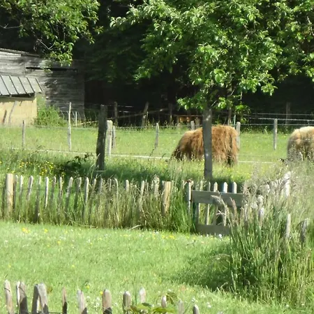 Dom wakacyjny An Huetten Herresbach