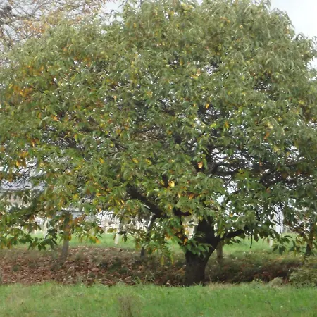 An Hütten *