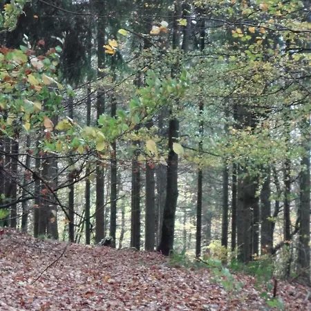 Dom wakacyjny An Huetten *