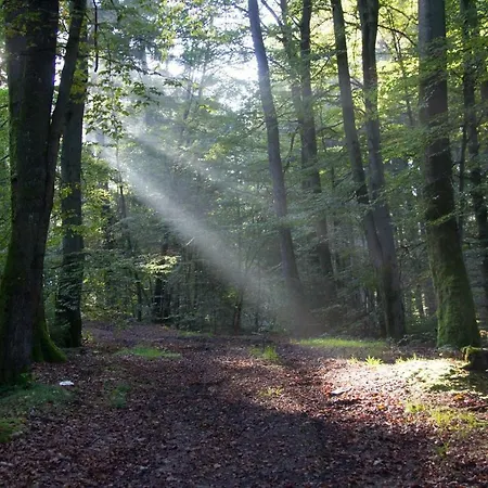 Dom wakacyjny An Huetten